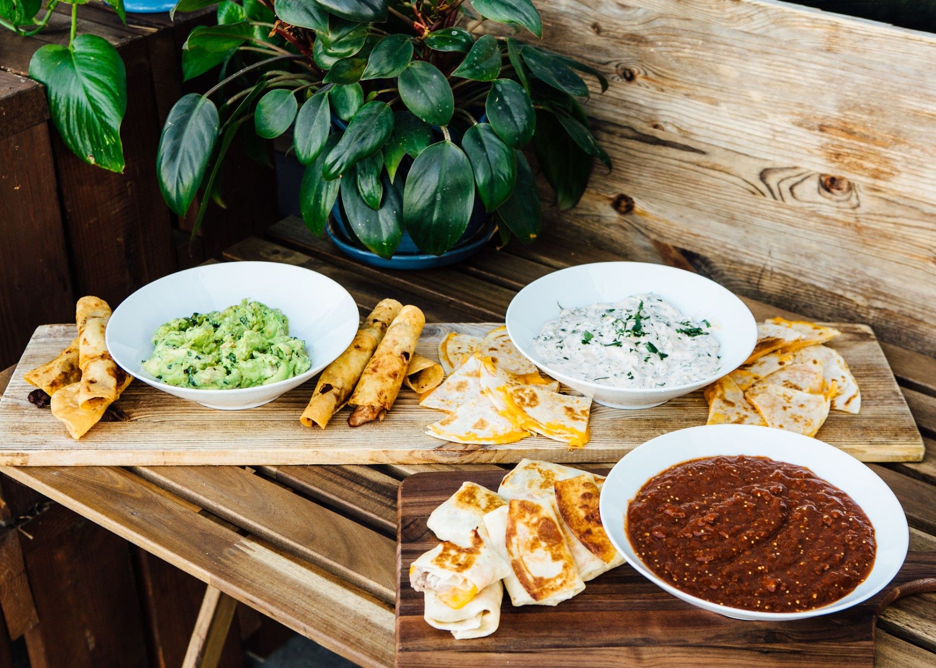 Mexican food catering spread with appetizers, salsas, and sides
